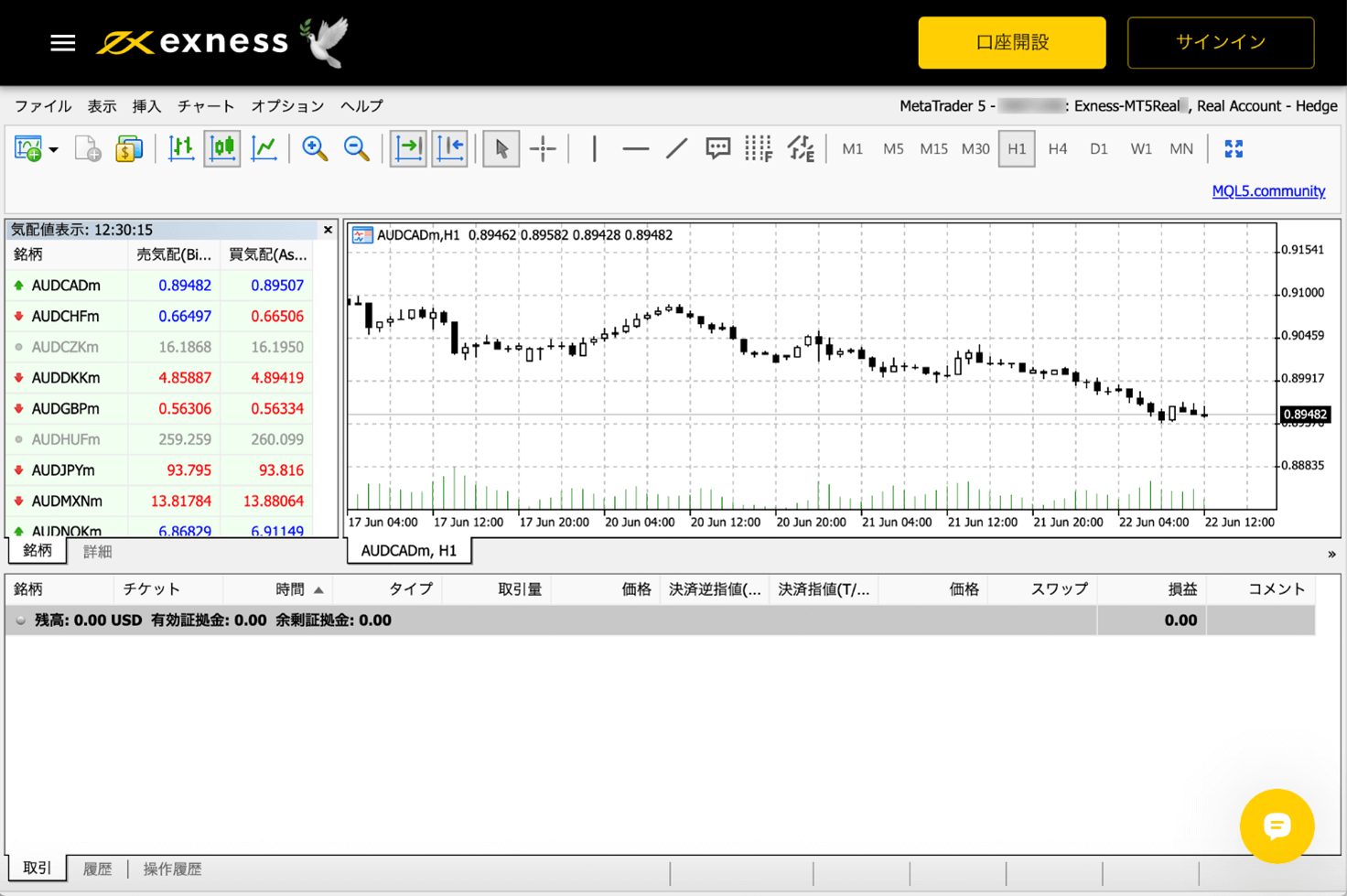 Exness（エクスネス）MetaTrader5（メタトレーダー5）ウェブターミナル版のログイン方法｜ログインをすることができました。