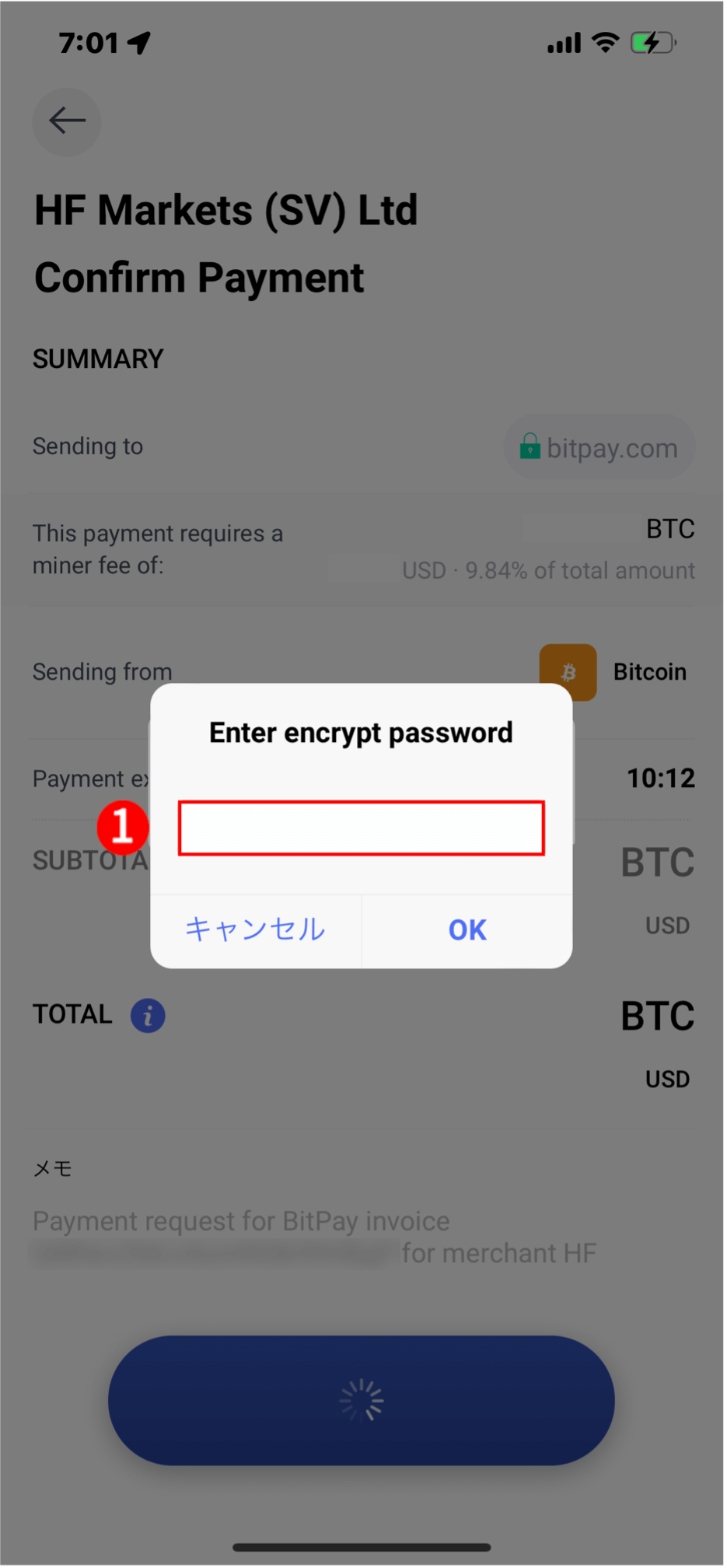 HFM(HFマーケッツ)でBitPay(ビットペイ)による入金手続き|お客様のパスワードを入力
