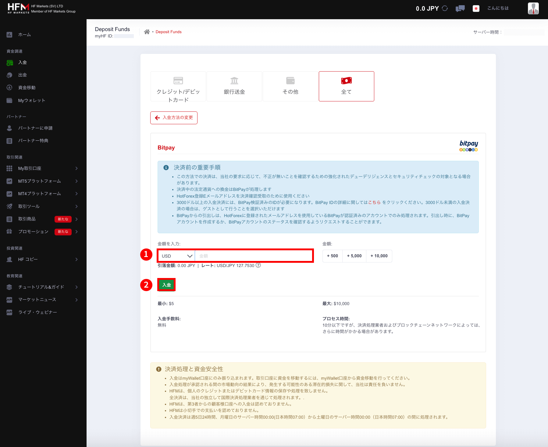 HFM(HFマーケッツ)でBitPay(ビットペイ)による入金手続き|「BitPay(ビットペイ)」の入金画面