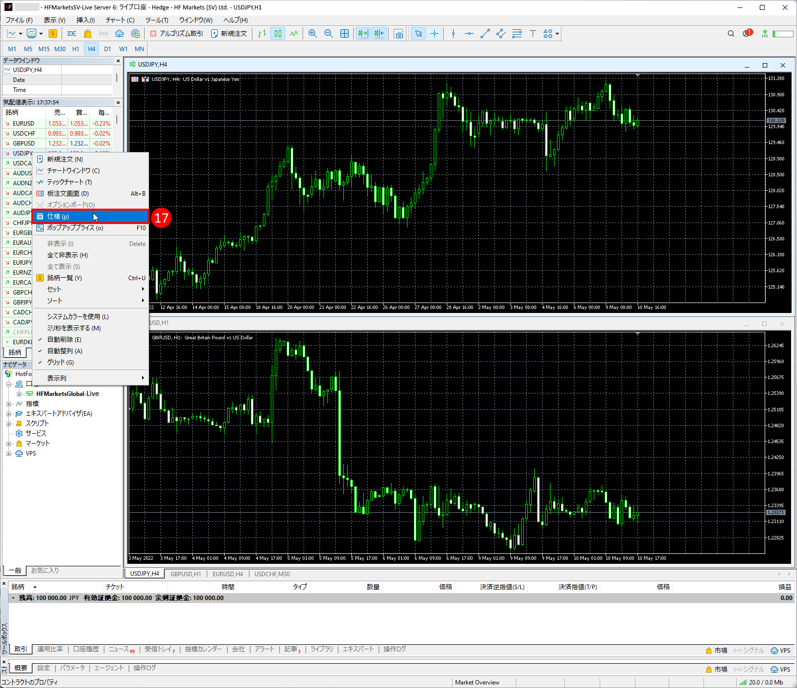 HFM (HFマーケッツ) のメタトレーダー5(MT5)の「仕様 (p)」を確認方法