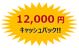 12000