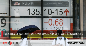 FX週刊ニュース(6月3週)|米ドル/円:20年ぶり円安、1ドル=135円台、急落のわけは?