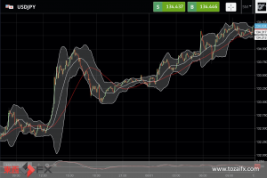 FXニュース：米雇用統計前の利上げ長期化予想で134円台に