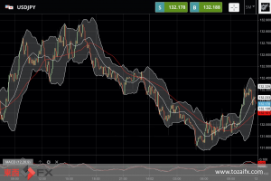 FXニュース：米消費者物価指数 (CPI) 控え調整が