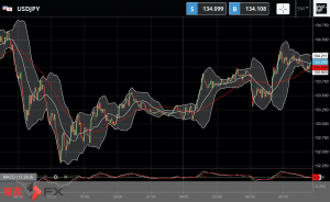 FXニュース：米消費者物価指数 (CPI) 発表前の調整