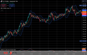 今日2024年11月12日火曜日の日本の東京外国為替市場の今朝9時頃から今夜17時頃までの対ドル円相場の為替レートの値動きは、円の安値でドルの高値の154円6銭付近から、円の高値でドルの安値の153円40銭付近の値幅約66銭で、今夜17時の東京外国為替市場の対ドル円相場の終値は153円78〜79銭付近と、