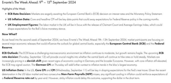 Errante（エランテ）のマーケットコメント