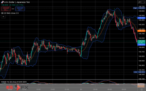 今日2025年3月21日金曜日の日本の東京外国為替市場の今朝9時頃から今夜17時頃までの対ドル円相場の為替レートの値動きは、円の高値でドルの安値の148円59銭付近から、円の安値でドルの高値の149円67銭付近の値幅約1円8銭で、今夜17時の東京外国為替市場の対ドル円相場の終値は149円34銭付近と、昨日の日本市場が祝日休場だった世界FX市場の昨日17時の148円55銭付近と比較すると約79銭の円安ドル高であったが、...